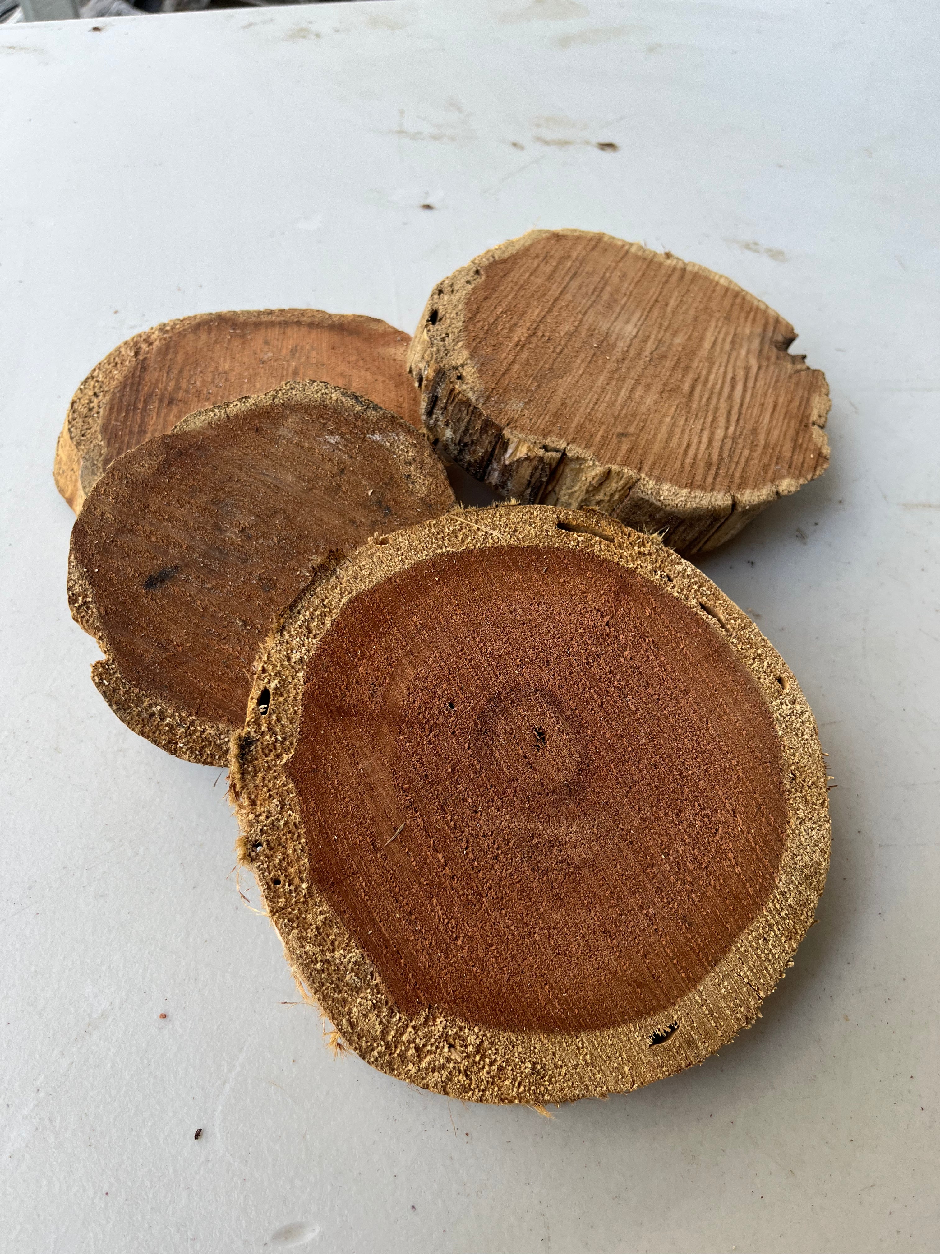 Natural Wood slice round